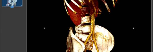 ORPALIS DICOM Viewer Free screenshot