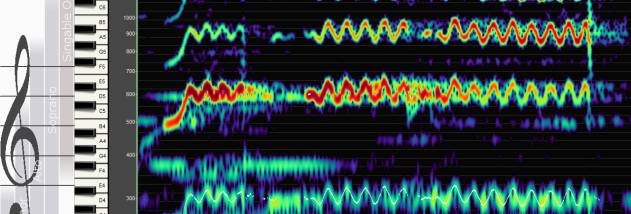 Overtone Analyzer Premium screenshot
