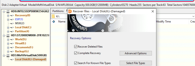 DiskGenius Professional screenshot