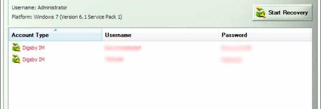 Password Decryptor for Digsby screenshot