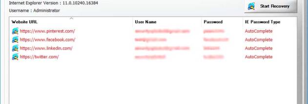 Password Decryptor for Internet Explorer screenshot