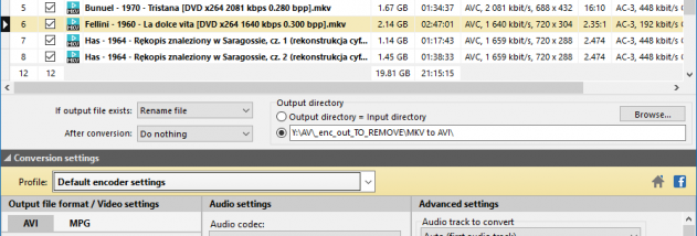 Pazera Free MKV to AVI Converter screenshot