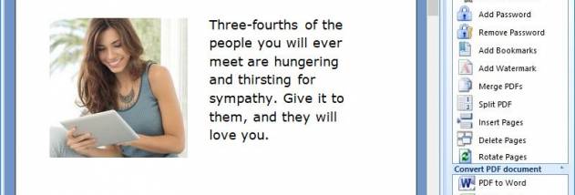 PDF Converter screenshot