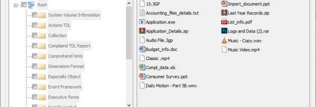 Pen Drive Restore Software screenshot