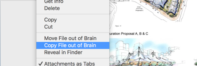PersonalBrain screenshot
