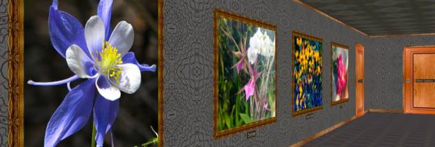 Phota Flowers Screensaver screenshot