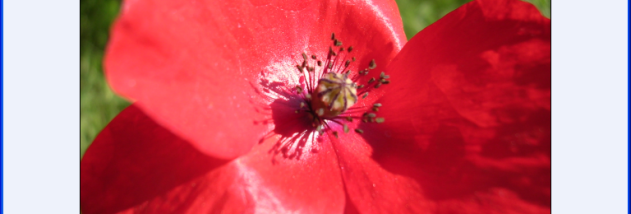 Photo Toolkit screenshot