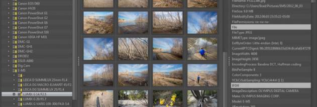 PhotoGrok screenshot