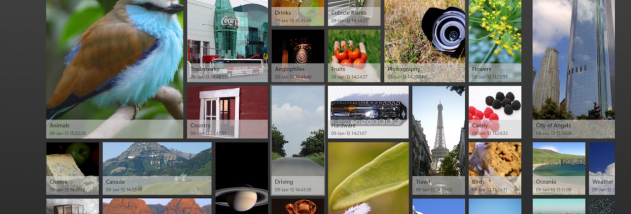 PicasaRT Windows UWP screenshot