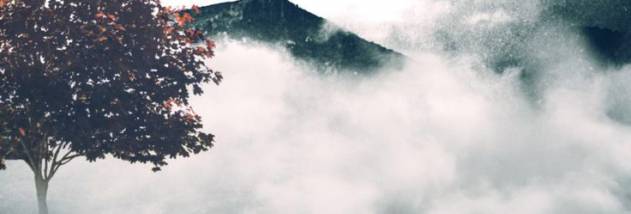 PicsArt for Windows UWP screenshot