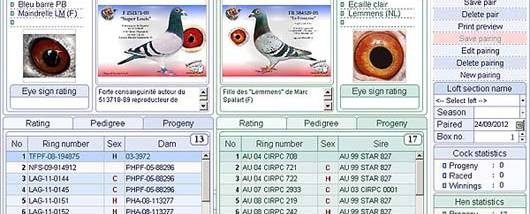 Pigeon Loft Organizer screenshot