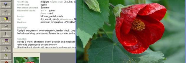 Plant Base screenshot