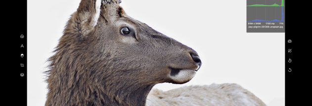 Polarr Photo Editor screenshot