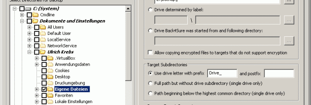 Portable Back4Sure screenshot