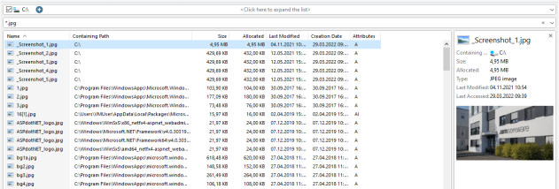 Portable UltraSearch screenshot