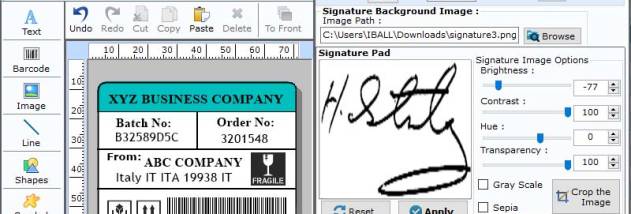 Professional Barcodes Application screenshot
