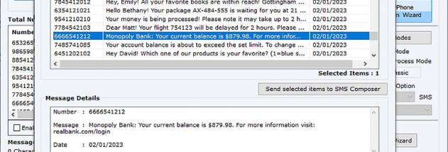 Professional Bulk SMS Software screenshot