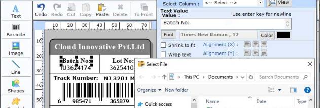 Professional Data Sending Application screenshot