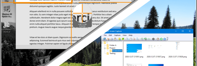 QnE Companion screenshot
