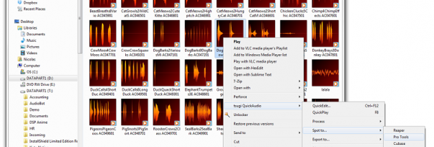 QuickAudio screenshot