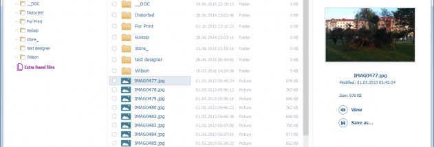 Raise Data Recovery - General License screenshot