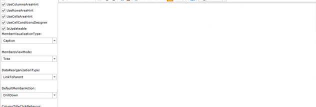 Ranet OLAP screenshot