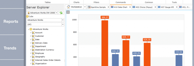 Ranet OLAP for WPF/Silverlight screenshot