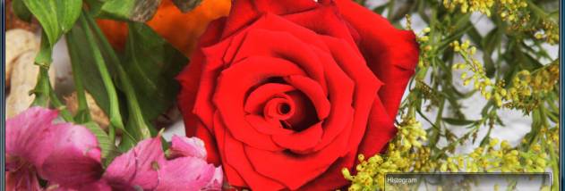 ReaViewer screenshot