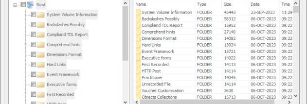 Recover Deleted FAT Files screenshot