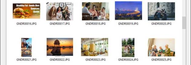 Recover Digital Camera Pictures screenshot