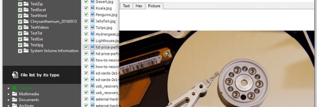 RecoveryRobot Hard Drive Recovery screenshot