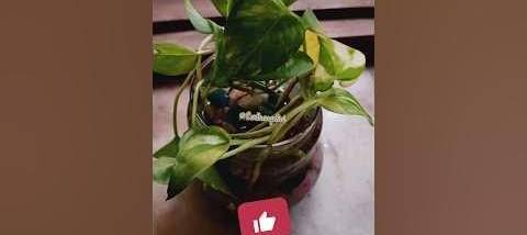 Red Button screenshot