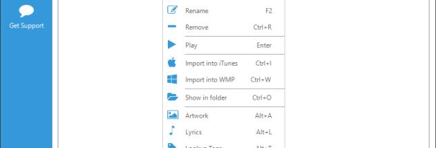 Replay Converter screenshot
