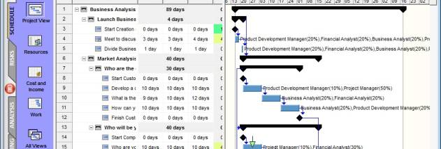 RiskyProject Professional screenshot