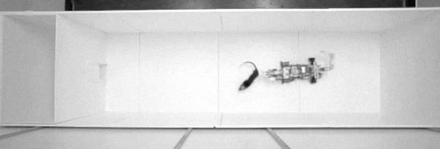 Robogator screenshot