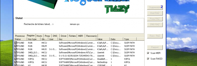 RogueKiller 64-bit screenshot