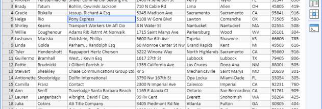 Rons Data Edit screenshot