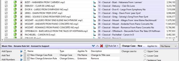 Rons Renamer screenshot