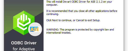 ASE ODBC Driver by Devart screenshot