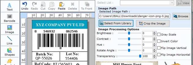 Scanning MSI Plessey Barcode screenshot