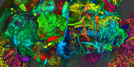 SCIRun x64 screenshot