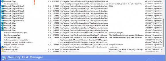 Security Task Manager screenshot