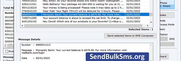 Send Bulk SMS Software screenshot