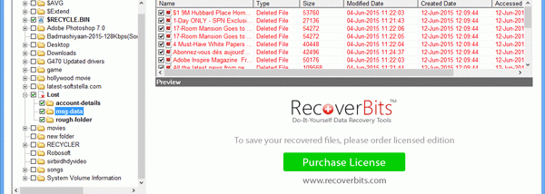Shift Delete Recovery screenshot