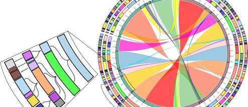 SiBELia x64 screenshot