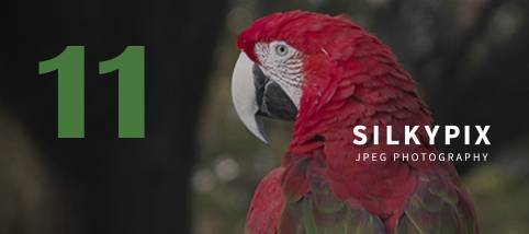 SILKYPIX JPEG Photography screenshot