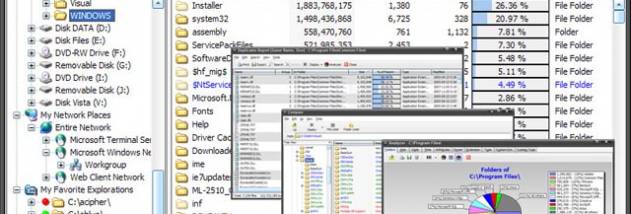 SizeExplorer Pro screenshot