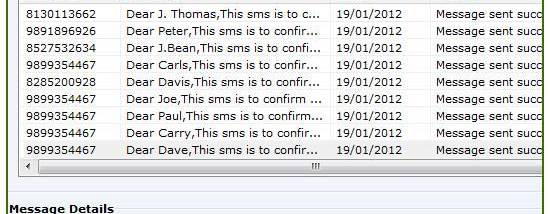 SMS Software Download screenshot