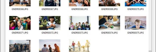 Software to Data Recovery screenshot