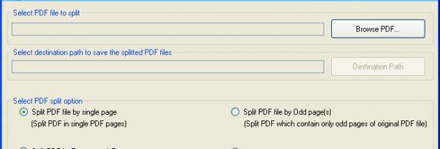 Split PDF screenshot